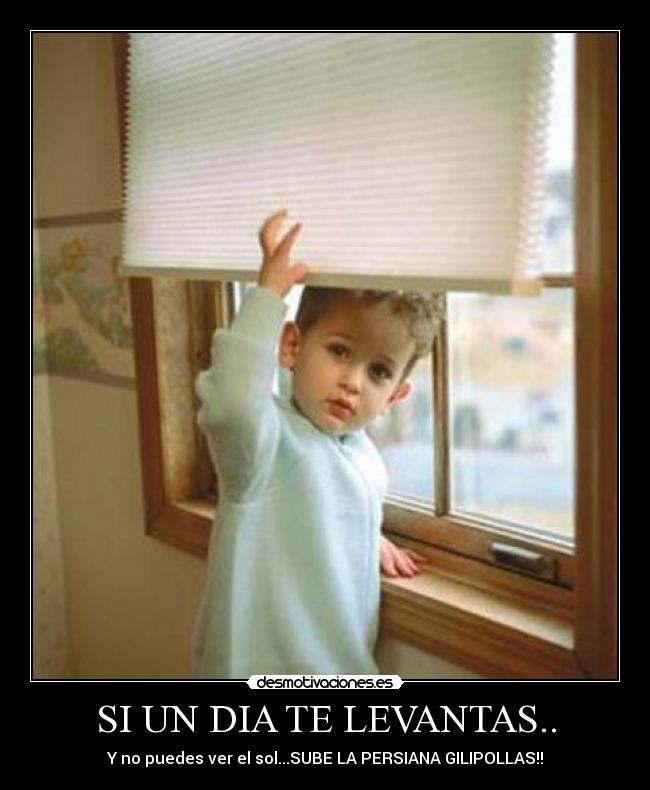 SI UN DIA TE LEVANTAS.. - Y no puedes ver el sol...SUBE LA PERSIANA GILIPOLLAS!!