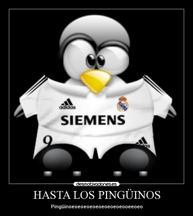 HASTA LOS PINGÜINOS -