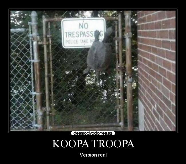 KOOPA TROOPA - 