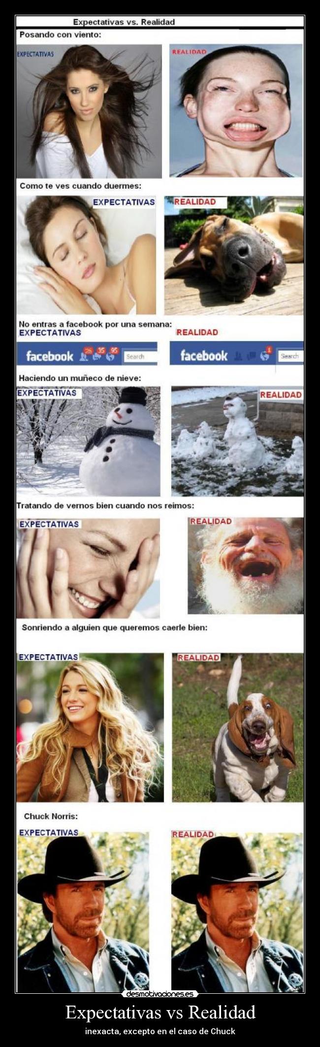 Expectativas vs Realidad -