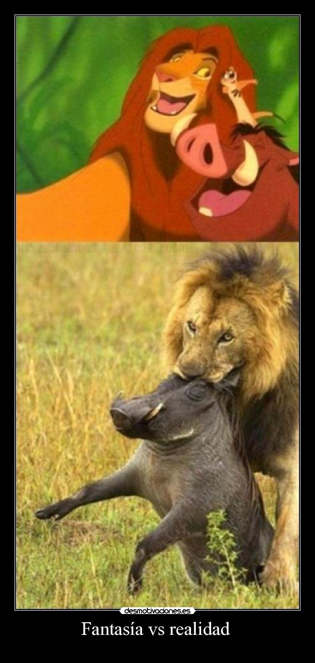 Fantasía vs realidad  - 