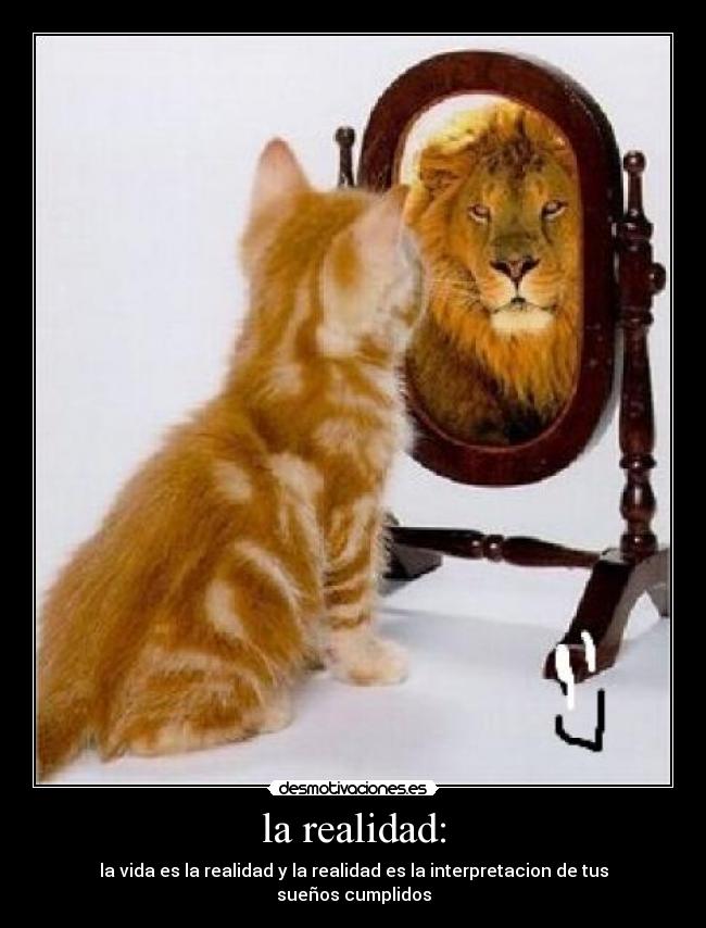 la realidad: - la vida es la realidad y la realidad es la interpretacion de tus sueños cumplidos
