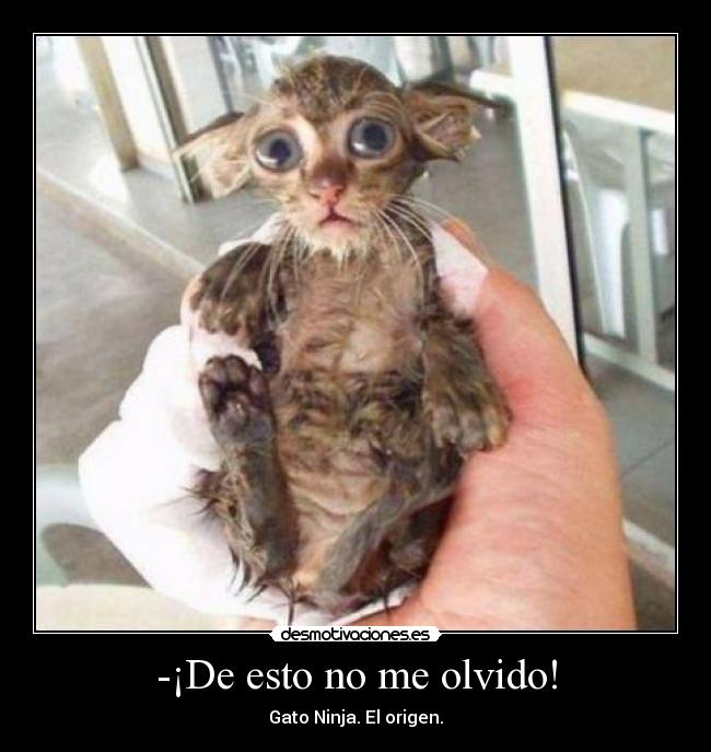 -¡De esto no me olvido! - 