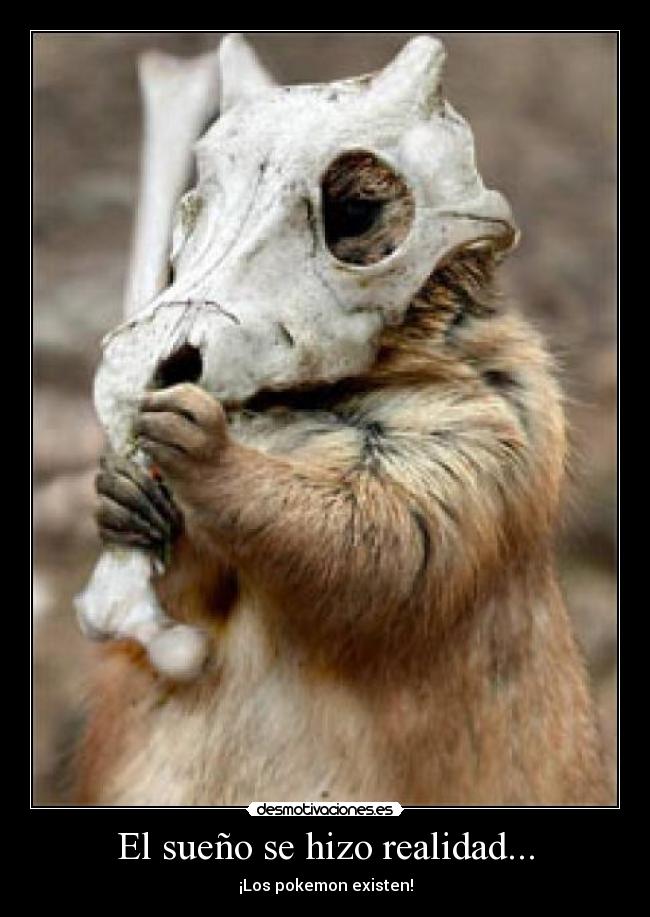 El sueño se hizo realidad... - ¡Los pokemon existen!