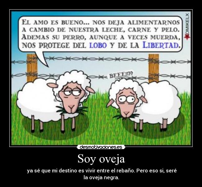 Soy oveja -  ya sé que mi destino es vivir entre el rebaño. Pero eso si, seré la oveja negra.