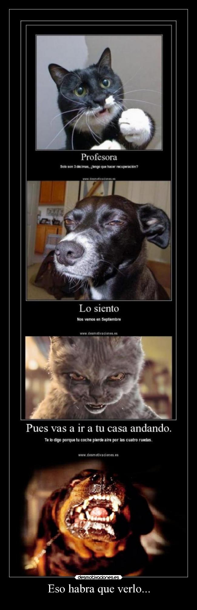 Eso habra que verlo... -