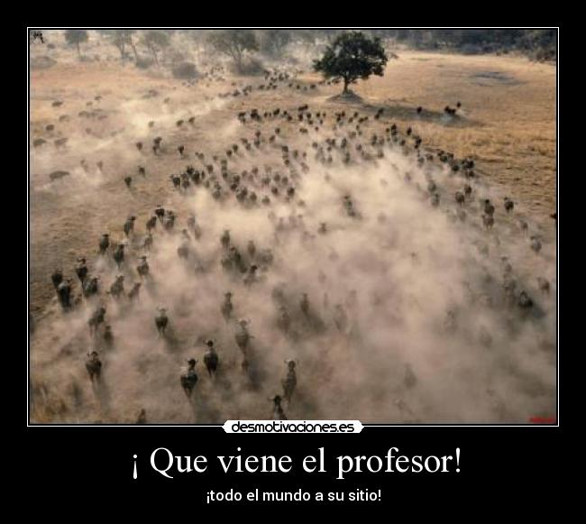 ¡ Que viene el profesor! - 