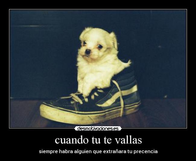 cuando tu te vallas - 