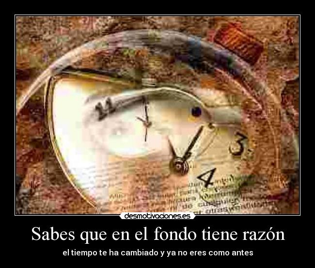 Sabes que en el fondo tiene razón -