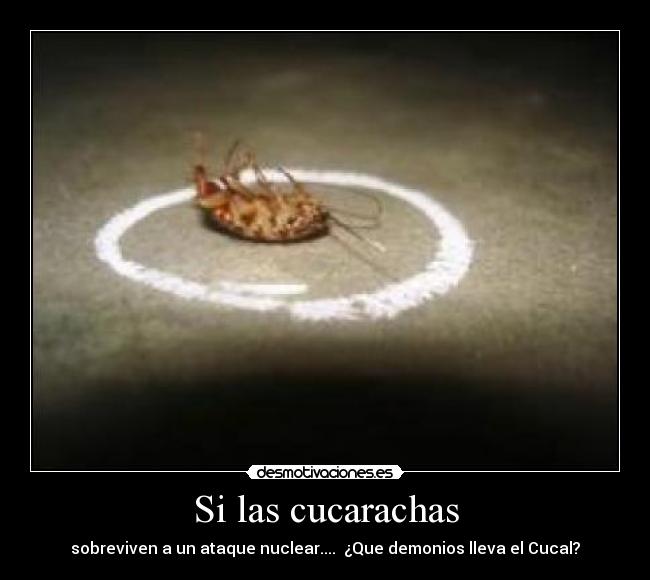 Si las cucarachas - sobreviven a un ataque nuclear.... ¿Que demonios lleva el Cucal?
