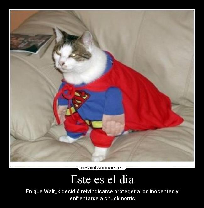Este es el dia - En que Walt_k decidió reivindicarse proteger a los inocentes y
enfrentarse a chuck norris