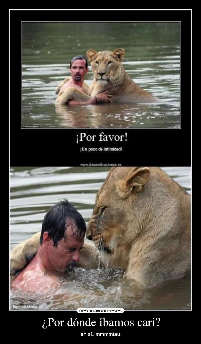 carteles leona desmotivaciones