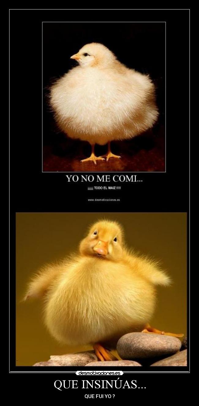 QUE INSINÚAS... -