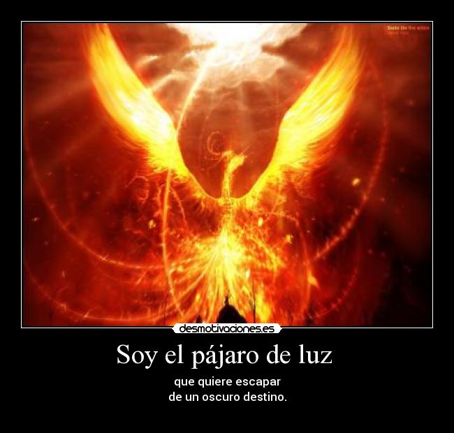 Soy el pájaro de luz - que quiere escapar
de un oscuro destino.