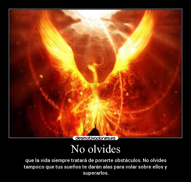No olvides - que la vida siempre tratará de ponerte obstáculos. No olvides
tampoco que tus sueños te darán alas para volar sobre ellos y
superarlos.