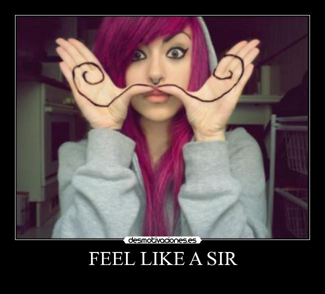 carteles feel like sir lucy_rock desmotivaciones