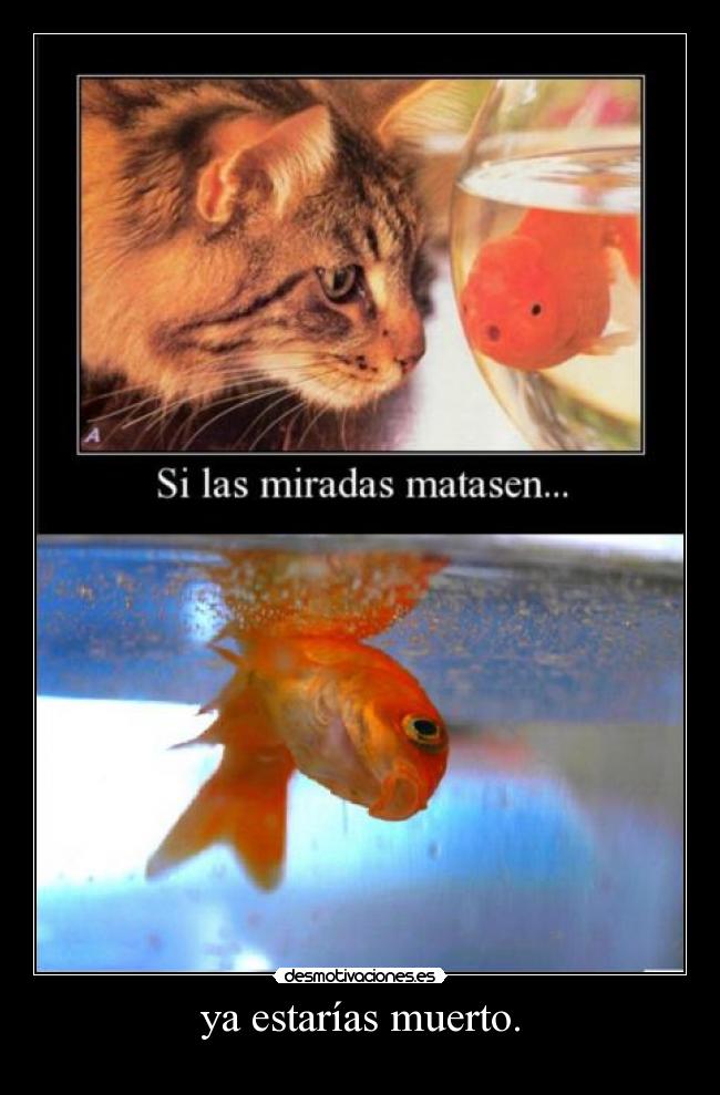 ya estarías muerto. -