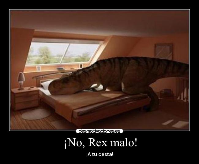 carteles rex malo desmotivaciones