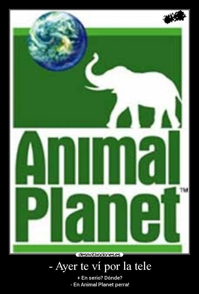 - Ayer te ví por la tele - + En serio? Dónde?
- En Animal Planet perra!