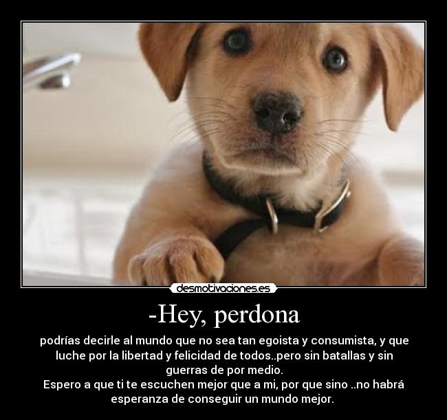 -Hey, perdona - podrías decirle al mundo que no sea tan egoista y consumista, y que
luche por la libertad y felicidad de todos..pero sin batallas y sin
guerras de por medio.
Espero a que ti te escuchen mejor que a mi, por que sino ..no habrá
esperanza de conseguir un mundo mejor. 