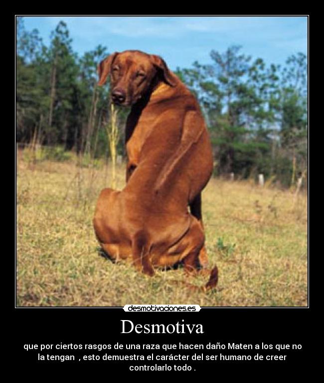 Desmotiva - que por ciertos rasgos de una raza que hacen daño Maten a los que no
la tengan , esto demuestra el carácter del ser humano de creer
controlarlo todo .