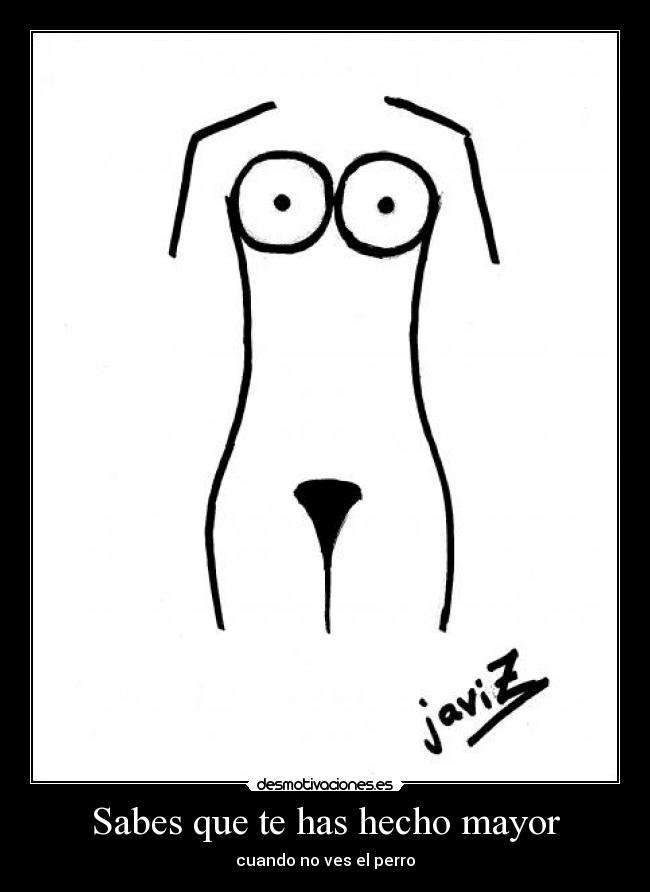 Sabes que te has hecho mayor - cuando no ves el perro