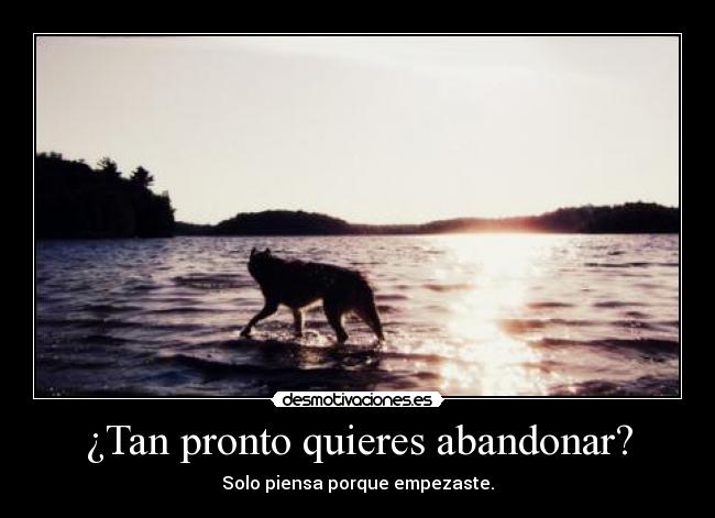 ¿Tan pronto quieres abandonar? - 