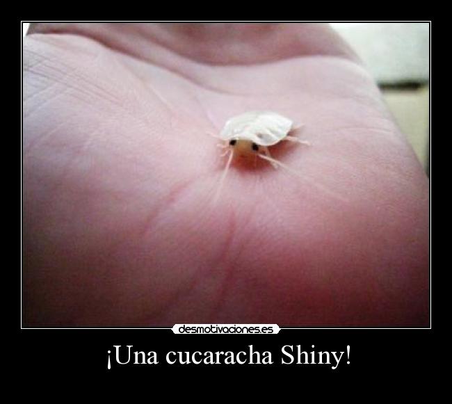 ¡Una cucaracha Shiny! - 