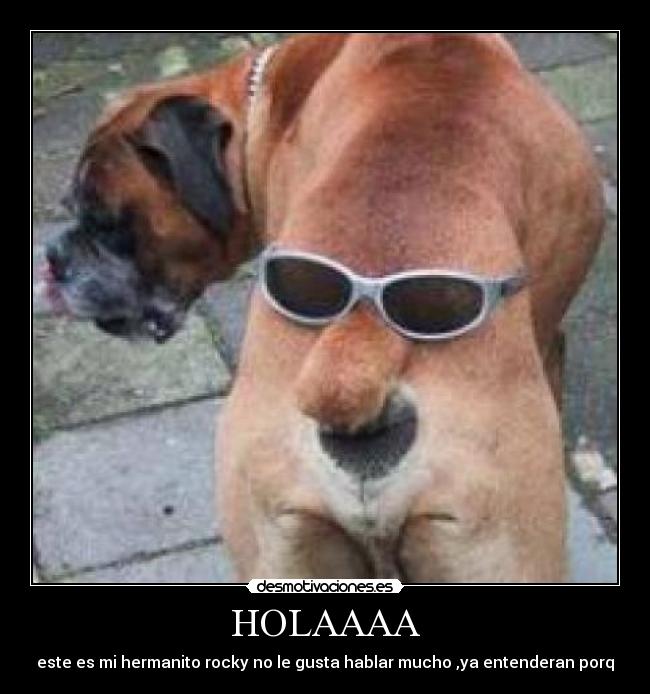 HOLAAAA - este es mi hermanito rocky no le gusta hablar mucho ,ya entenderan porq