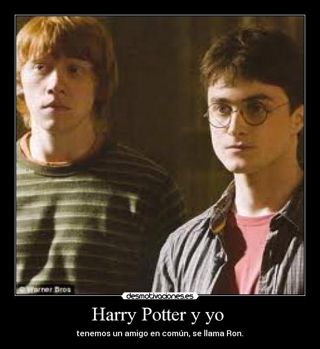 Harry Potter y yo -