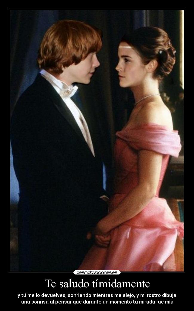 Te saludo tímidamente - 
