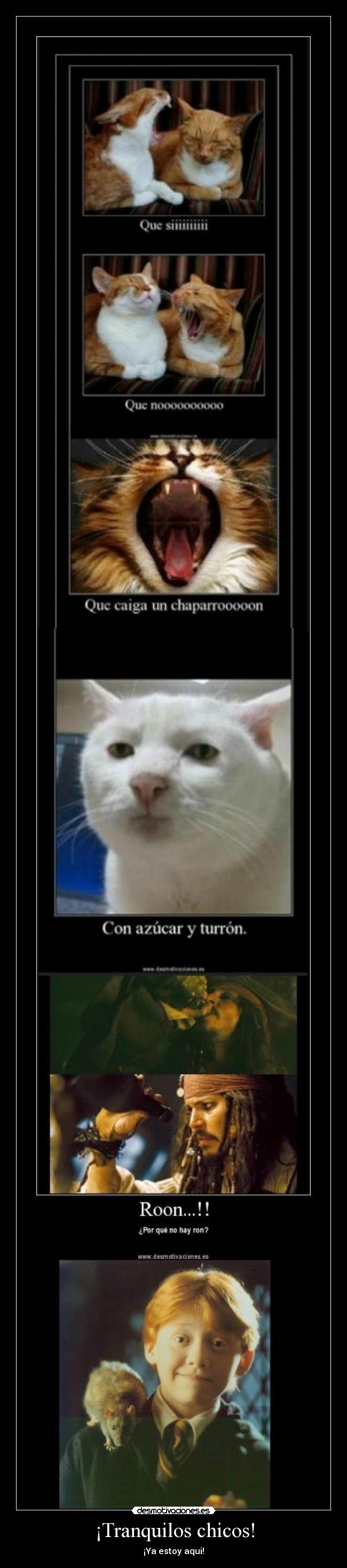 ¡Tranquilos chicos! - 