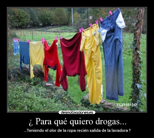 ¿ Para qué quiero drogas... - ...Teniendo el olor de la ropa recién salida de la lavadora ?