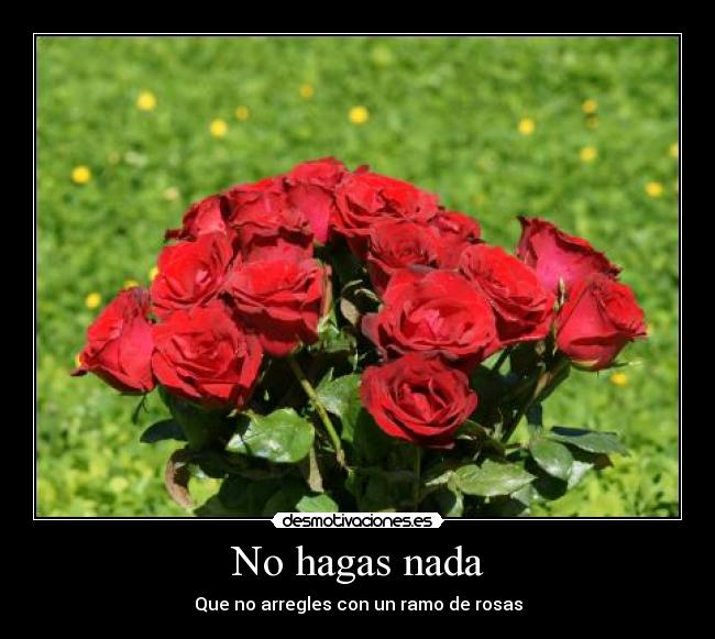 No hagas nada - Que no arregles con un ramo de rosas