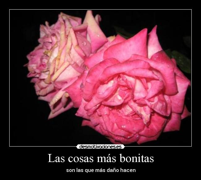 Las-Colas-Mas-Bonitas Las Colas Mas Bonitas http://desmotivaciones.es/1919907/Las-cosas-mas ...