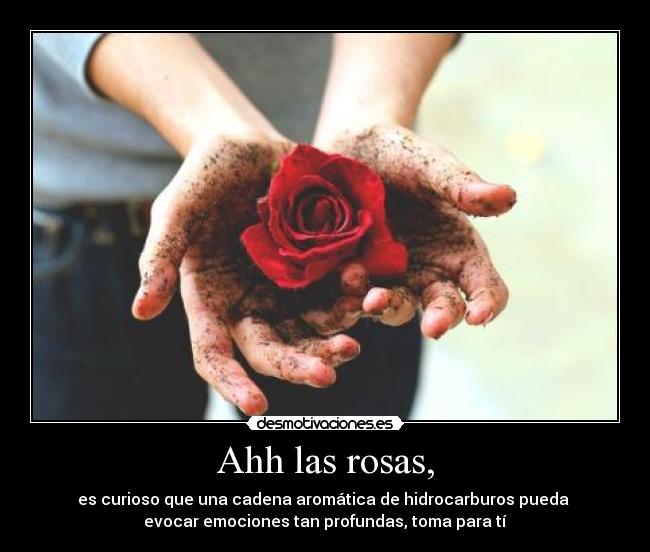 Ahh las rosas, -