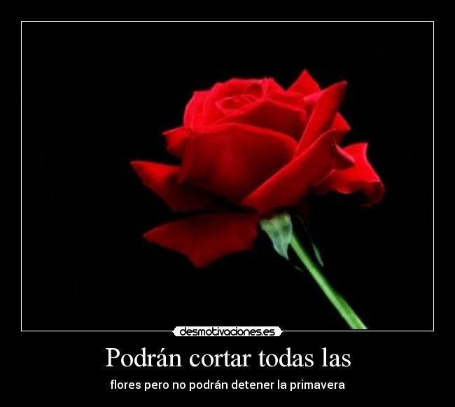 Podrán cortar todas las - flores pero no podrán detener la primavera