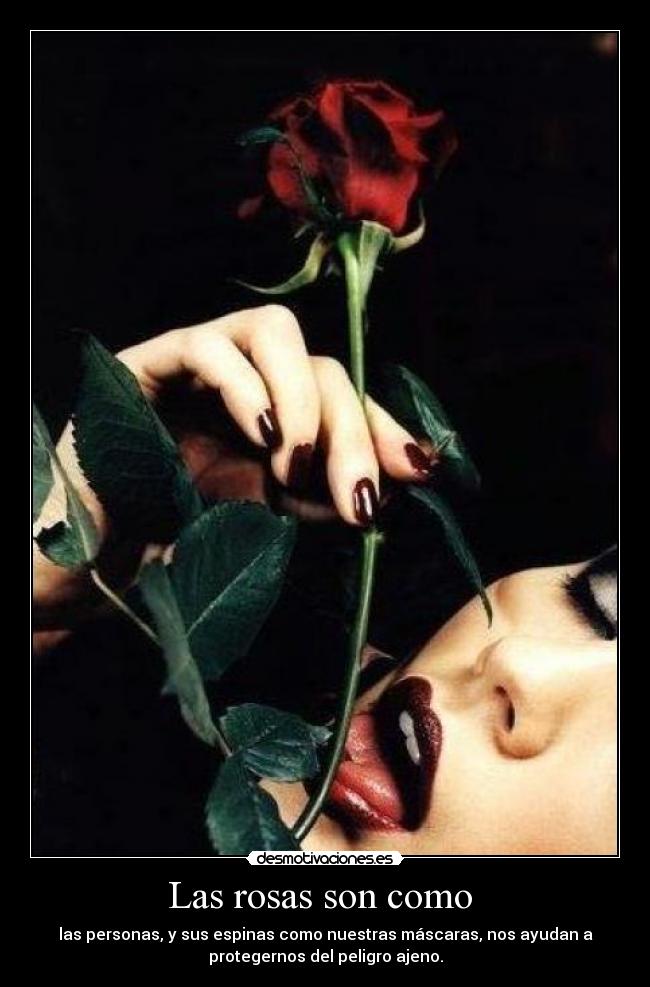 Las rosas son como -