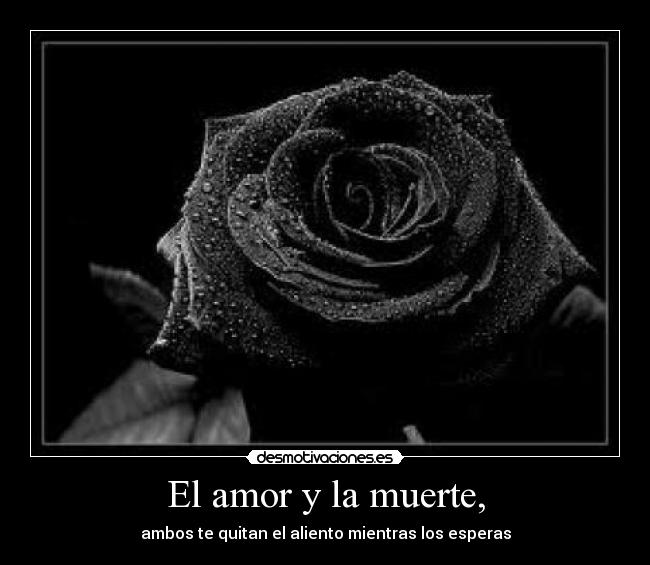 El amor y la muerte, -