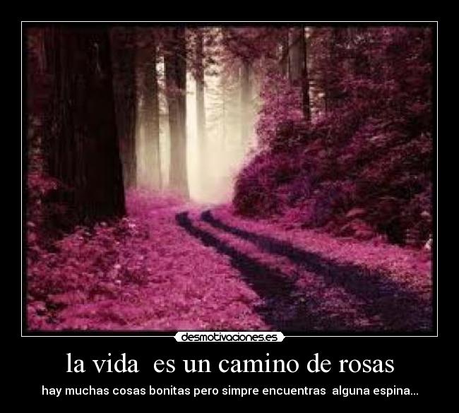 carteles vida irenelakanija desmotivaciones