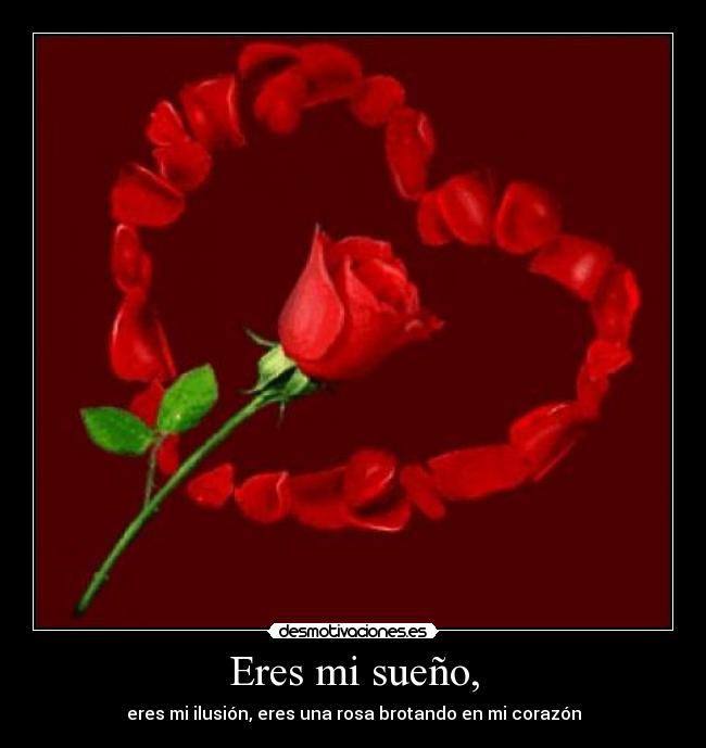 Eres mi sueño, - eres mi ilusión, eres una rosa brotando en mi corazón
