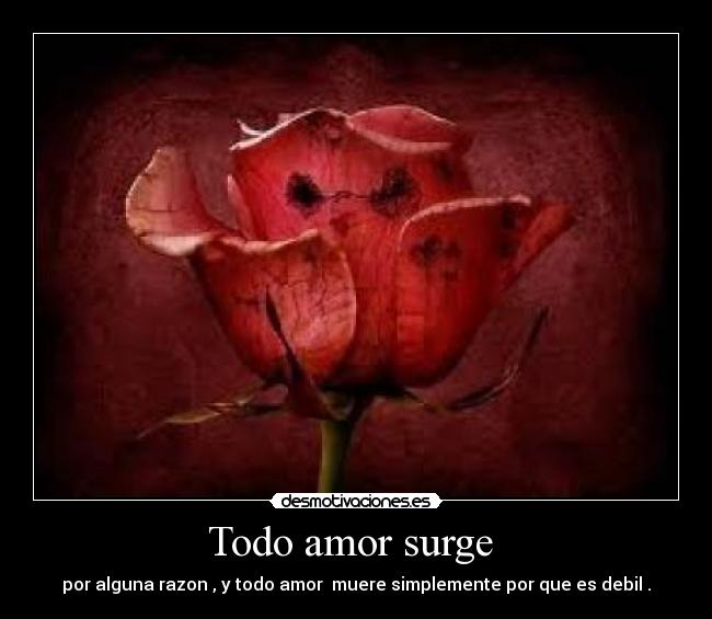 carteles amor morir debil desmotivaciones