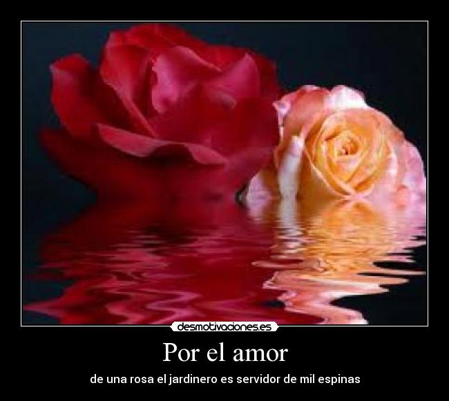 Por el amor -