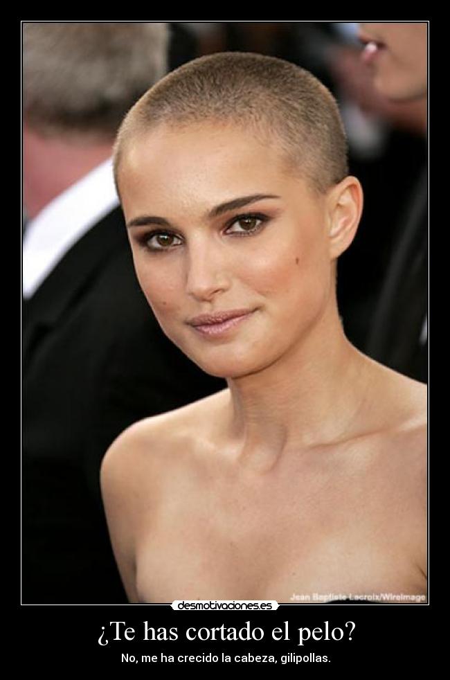 ¿Te has cortado el pelo? - No, me ha crecido la cabeza, gilipollas.