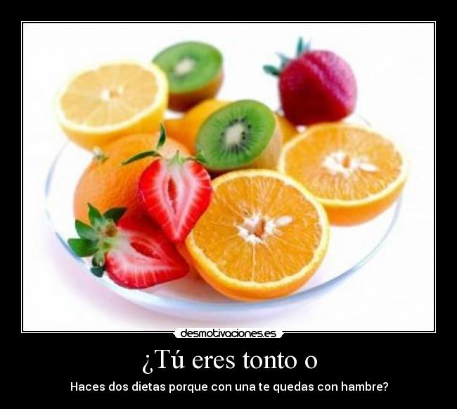 ¿Tú eres tonto o -