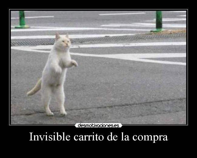 carteles  desmotivaciones