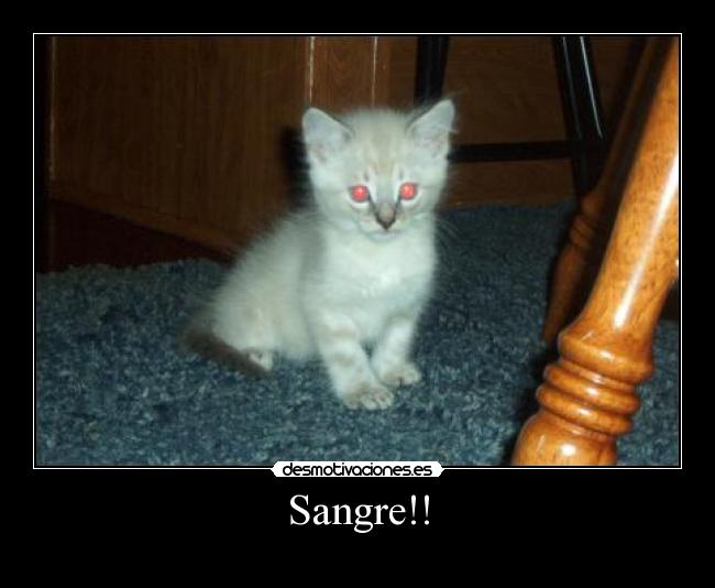 Sangre!! - 