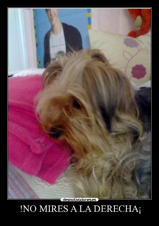 !NO MIRES A LA DERECHA¡ -