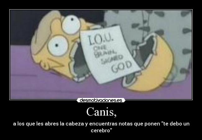 Canis, - a los que les abres la cabeza y encuentras notas que ponen te debo un cerebro