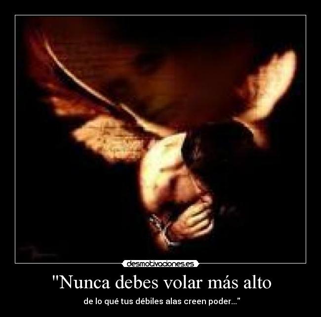 Nunca debes volar más alto - de lo qué tus débiles alas creen poder...